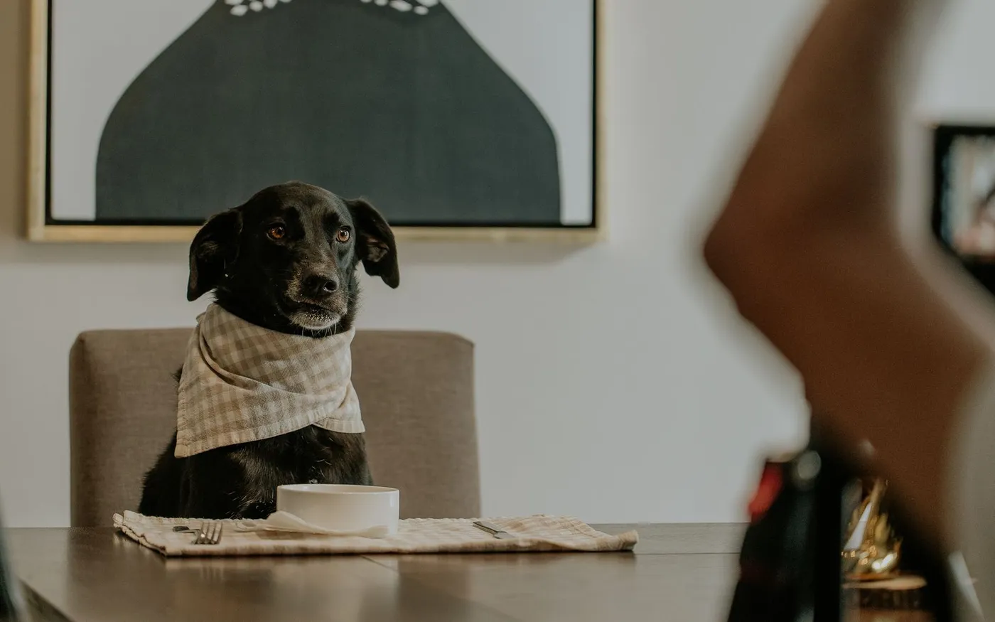 Cachorro preto sentado ao lado de uma mesa, esperando comida